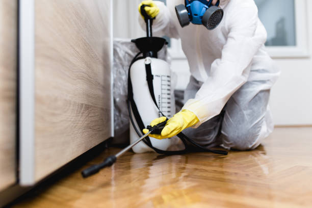 Best Cockroach Control Services  in Woodville, AL