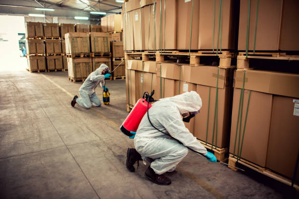 Best Exterminator Services  in Woodville, AL