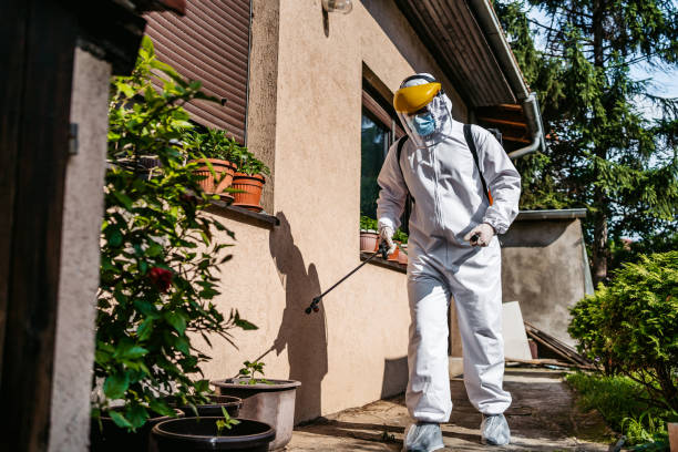Best Wildlife Control Services  in Woodville, AL