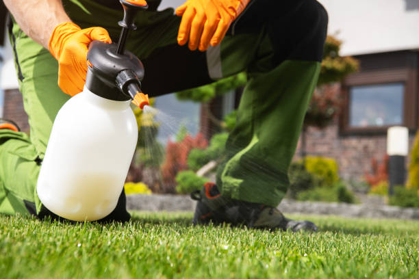 Best Affordable Pest Control Services  in Woodville, AL