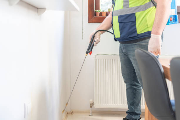 Best Flea Control Services  in Woodville, AL