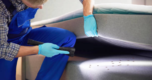 Best Rat Extermination Near Me  in Woodville, AL