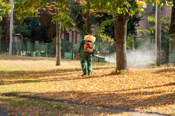 Best Local Pest Control Services  in Woodville, AL