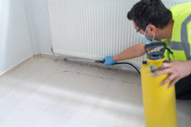 Best Best Pest Control Near Me  in Woodville, AL